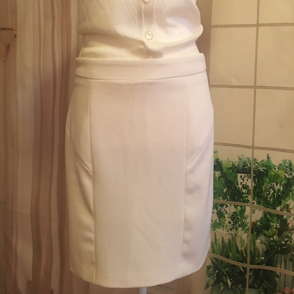 Large White Knee Lenght Skirt